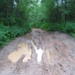 Жители Торопецкого района жалуются на разбитые лесовозами дороги