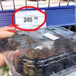 В Твери в магазине «Тележка» продают дорогую гнилую голубику