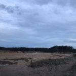 Катастрофические последствия строительства М-11 в тверском регионе: флора и фауна в Калининском районе безвозвратно утеряны