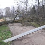 В Тверской области свирепствовал ураган