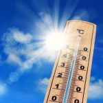 Этим летом в России прогнозируется аномальная жара