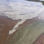 В Кувшиново на Негачанском водохранилище вода у берега покрылась маслянистыми пятнами, серо-зелёной слизью и плотной белой плёнкой. Цветёт фитопланктон?