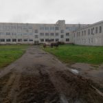 На территории школы в Нелидово пасутся кони