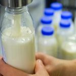 Раскрыта схема поставок молочного фальсификата в бюджетные учреждения
