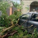 Жители Бежецка обсуждают ураган