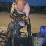 В Бежецке мужчина спас собак, тонущих в мазуте