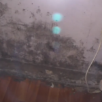 В Конаковском районе многодетной семье дали квартиру с плесенью