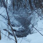 Жители Торжка жалуются на сброс канализации в Тверцу