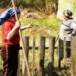 В Сонковском районе женщина заплатит за оскорбление соседки