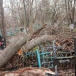 В Бежецке кладбище завалено деревьями и мусором