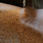 Правительство наращивает экспорт зерна, несмотря на подорожание хлеба в России