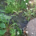 Весьегонск снова утопает в канализации. Видео