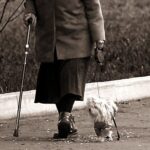 Пожилая тверитянка стала жертвой насильника во время прогулки с собакой