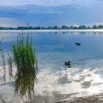 В Бологовском районе произошла экологическая катастрофа?