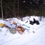 В Калининском районе лес завален мусором