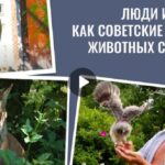 Как советские ученые спасают животных в Тверской области