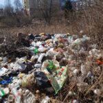 Ядовитые стоки от стихийной свалки загрязняют воду реки Холынки в Ржеве
