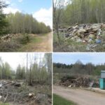 Бытовые отходы из деревень Оленинского округа вывозятся в лес?