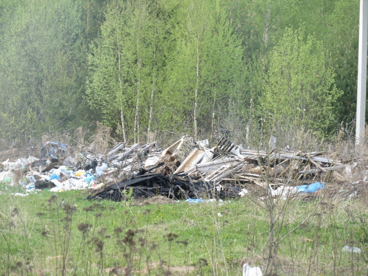 Весьегонск свалка в лесу