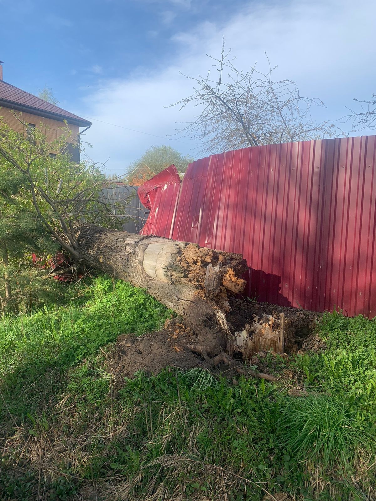 Ржев дерево повредило забор