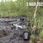 Общественный активист готовит обращение в суд по факту загрязнения мазутом земель ЗАТО Озёрный