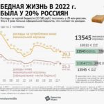 Бедная жизнь в 2022 году была у 20 процентов россиян