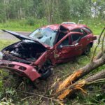 В Тверской области подростки на «Ниссане» врезались в дерево и серьезно пострадали