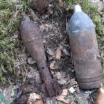Смертельно опасные находки грибников в ржевских лесах
