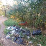 Горы мусора выросли рядом со школой, детсадом и поликлиникой в Твери