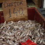 Селигер: почему исчезают традиционные виды рыб