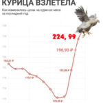 Почему в России «взлетела» курица?