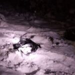 В Фировском районе поймали браконьера с лосятиной
