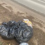 В Калининском районе в мусорных пакетах нашли мёртвых животных