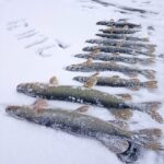 В Тверской области на хрупкий лёд вышли первые рыбаки