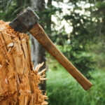 Москвич незаконно рубил лес в Рамешковском округе