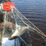 В Тверской области горе-рыбаки попали в сети правосудия