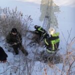 Сотрудничи МЧС спасли оленя в Тверской области