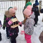 Тверские детсады проводят акцию «Покормите птиц зимой»