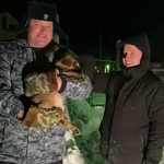 В Лихославле сотрудники полиции спасли щенков от холодной смерти