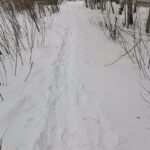Дорога к знаниям через снежные заносы в Осташкове