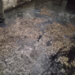 Ка-ка-катастрофа: в Вышнем Волочке, Западной Двине и Кимрах жалуются на прорывы канализации