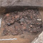 При раскопках в Твери нашли средневековое кладбище