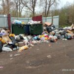 В Твери и области вокруг контейнерных площадок растут помойки. Почему своевременно не вывозится мусор?!