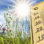 В Тверскую область приходит летняя жара