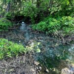 В Кимрах канализация сливается в реку