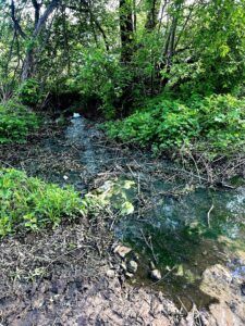 сброс канализации в реку Кимрка