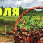 Какие изменения ждут жителей Тверской области в июле?