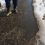 В Тверской области потеплеет до +8°, снег растает