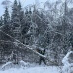 К авариям на ЛЭП в Тверской области привело хищение средств у «Россети Центр». Возбуждено уголовное дело К авариям на ЛЭП в Тверской области привело хищение средств у «Россети Центр». Возбуждено уголовное дело