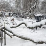 Бардак на кладбище в Калининском округе. Фотофакт